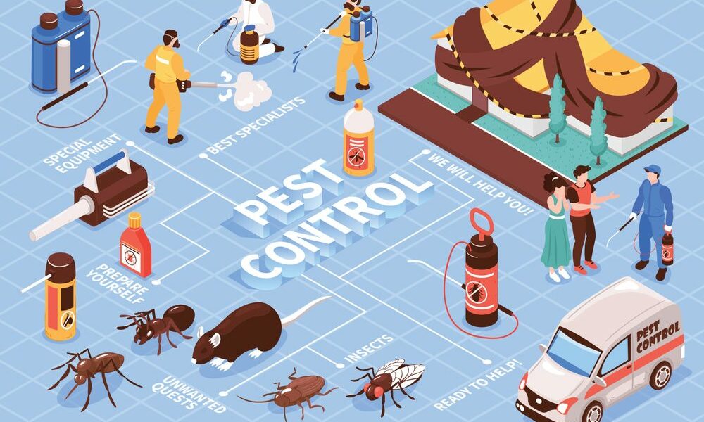 10-fact-checks-while-hiring-a-pest-control-company