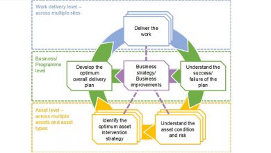 decision-maker-wheel:-use-for-daily-life,-work,-or-dinner-plans-in-2025