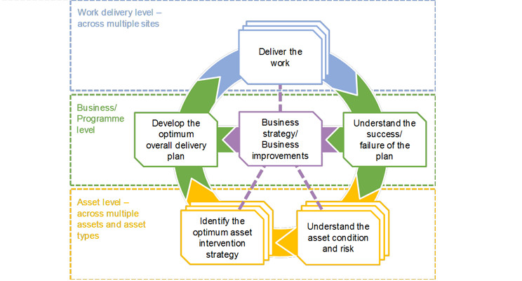 decision-maker-wheel:-use-for-daily-life,-work,-or-dinner-plans-in-2025