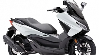 how-to-rent-a-scooter-in-marbella:-a-complete-guide-with-riderlix 