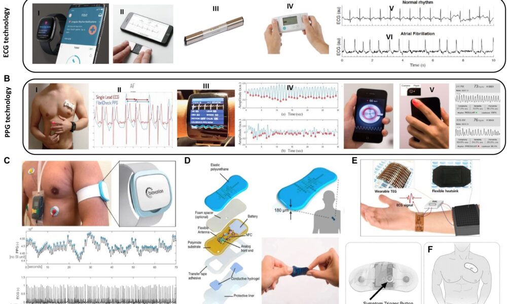 bridging-technology-and-holistic-wellness:-a-deep-dive-into-qi-coils-and-energy-healing