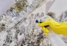 mold-testing-investment-for-homeowners
