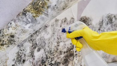 mold-testing-investment-for-homeowners