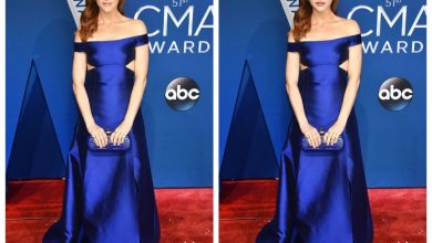 from-funny-to-freaky:-exploring-face-swap-transformations